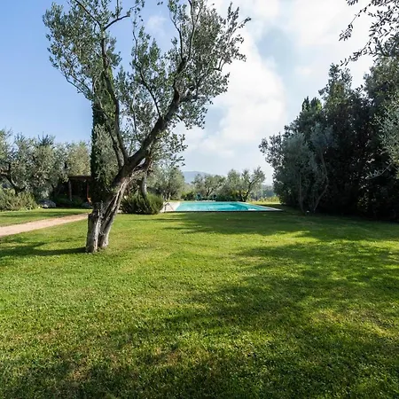 La Roseta By Mmega *